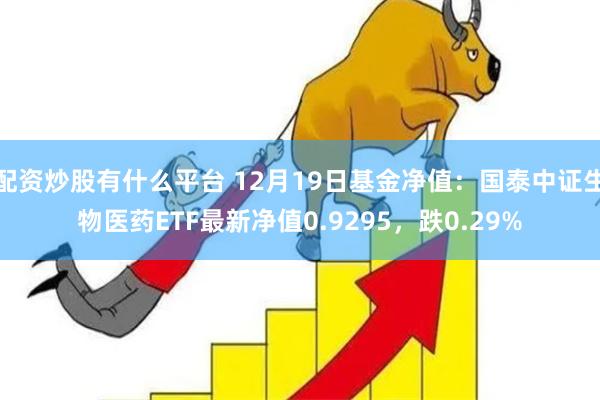 配资炒股有什么平台 12月19日基金净值：国泰中证生物医药E